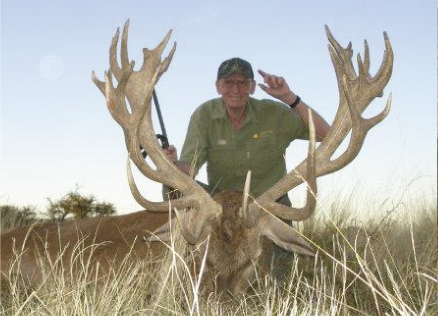 Gold Medal Red Stag Los Molles